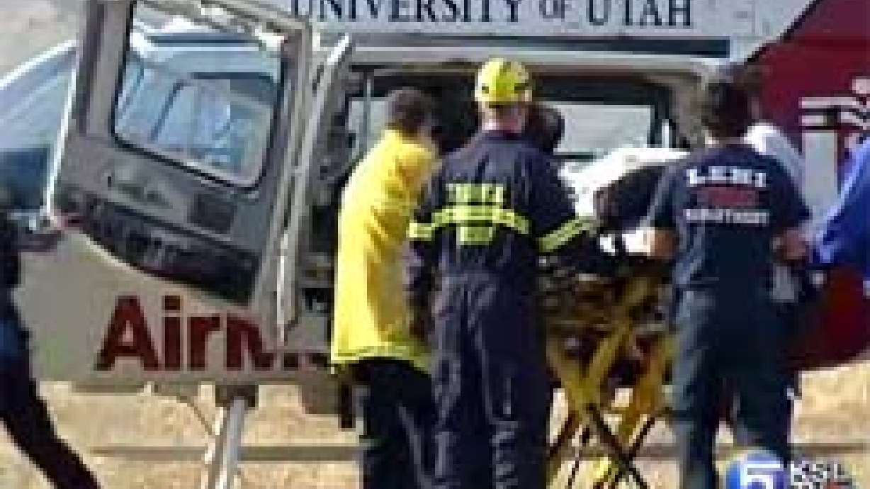 Paraglider Makes Crash Landing