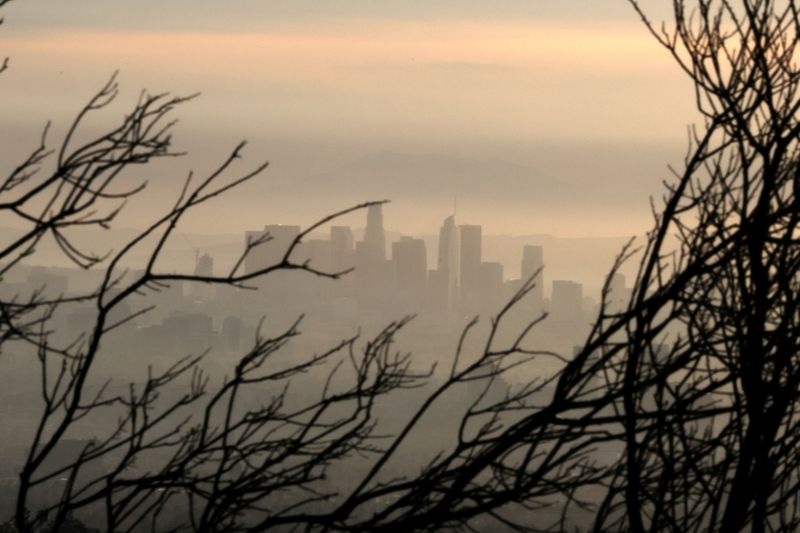 FILE PHOTO: Downtown Los Angeles is seen behind a tree burned by wildfire before expected heavy rains, as the coronavirus disease (COVID-19) continues, in Los Angeles, California, U.S., January 28, 2021. REUTERS/Lucy Nicholson/File Photo