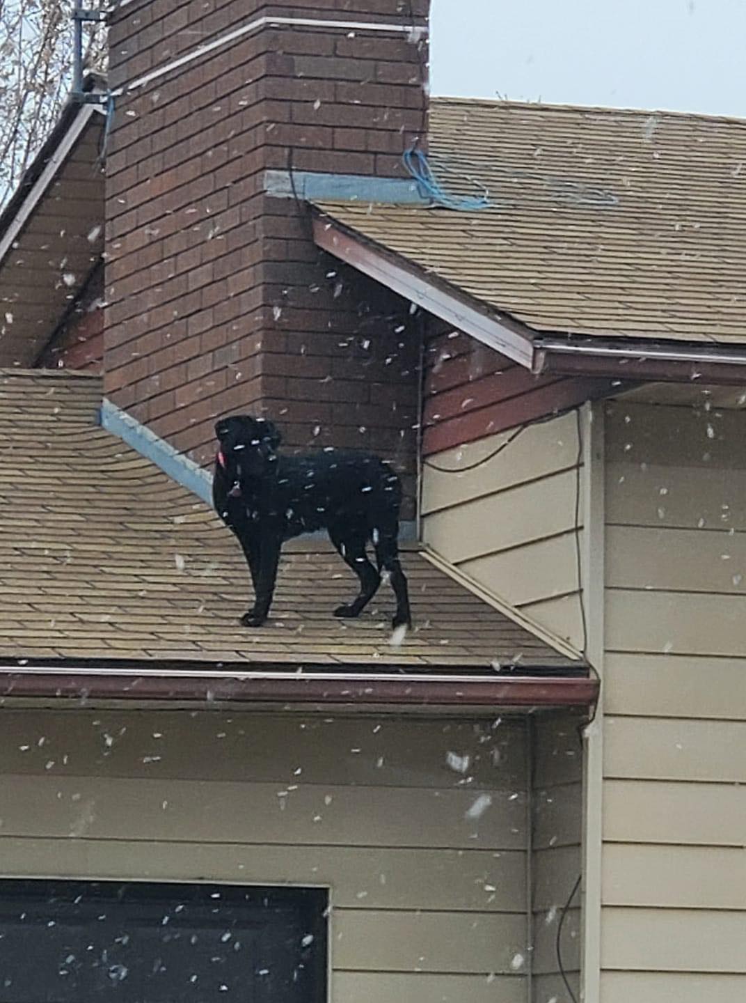 Lacy stands on her roof in Lehi.
PC: Brittany Philips.