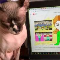 Meditating cat helps children cope with abuse, trauma