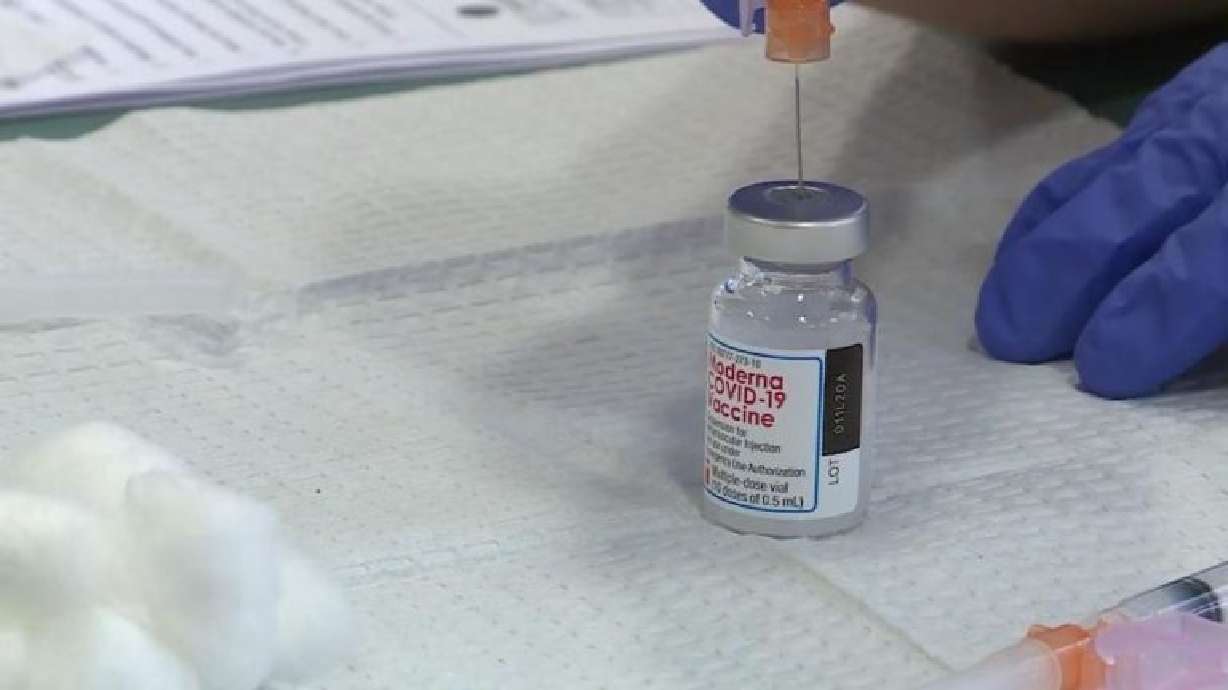 county, vaccine, needle, covid, coronavirus, virus COVID-19