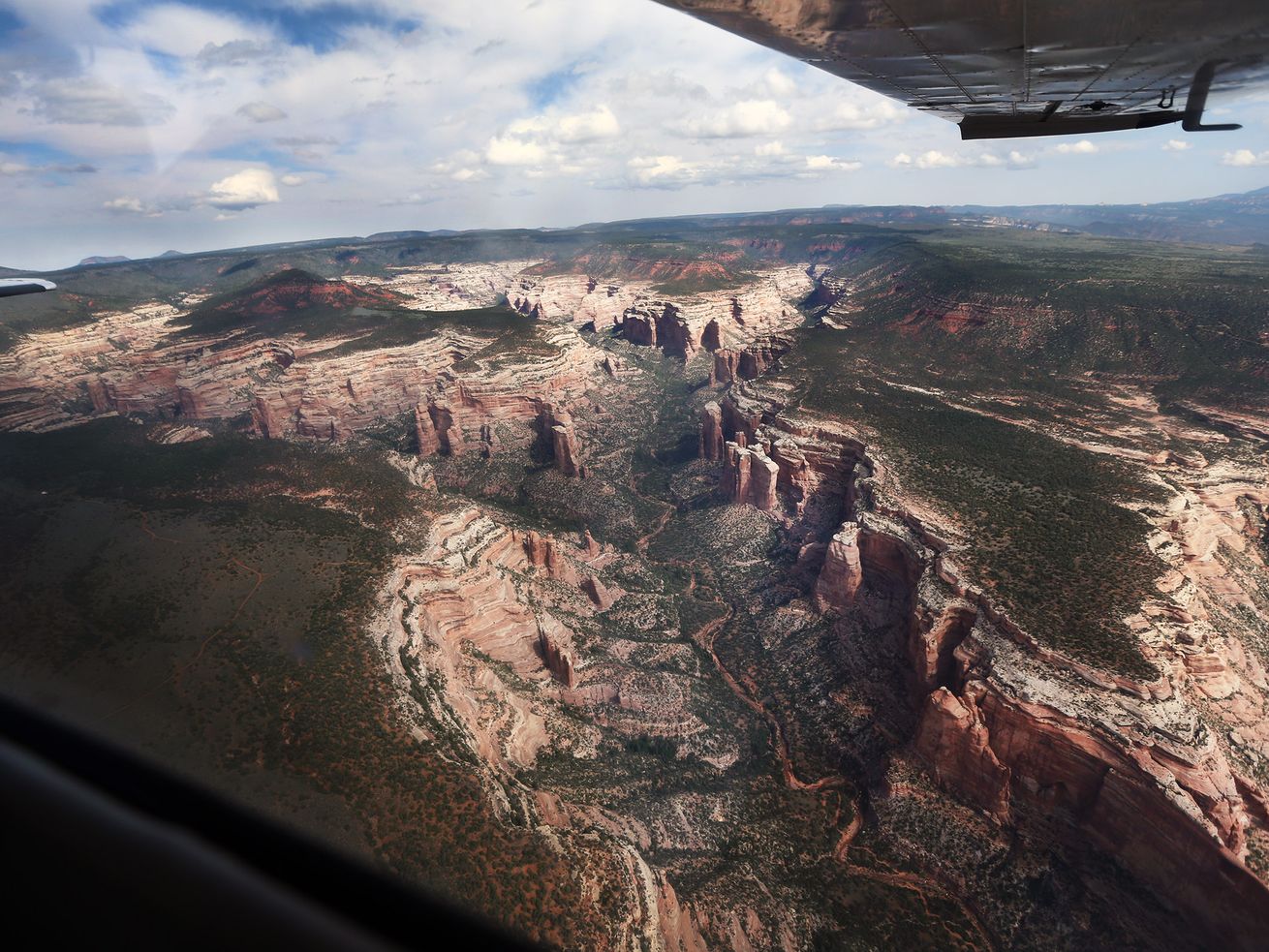 The Arch Canyon area of Bears Ears is seen as members
of the media get a chance to fly over the national monument with
EcoFlight on Monday, May 8, 2017.