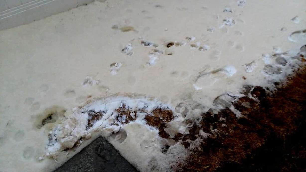 Brown snow may be to blame if your electricity goes out, Rocky Mountain Power says