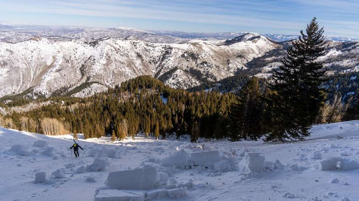 Wilson Glade avalanche fatalities Feb 6, 2021, Wasatch Range, Utah, Bruce Tremper photos