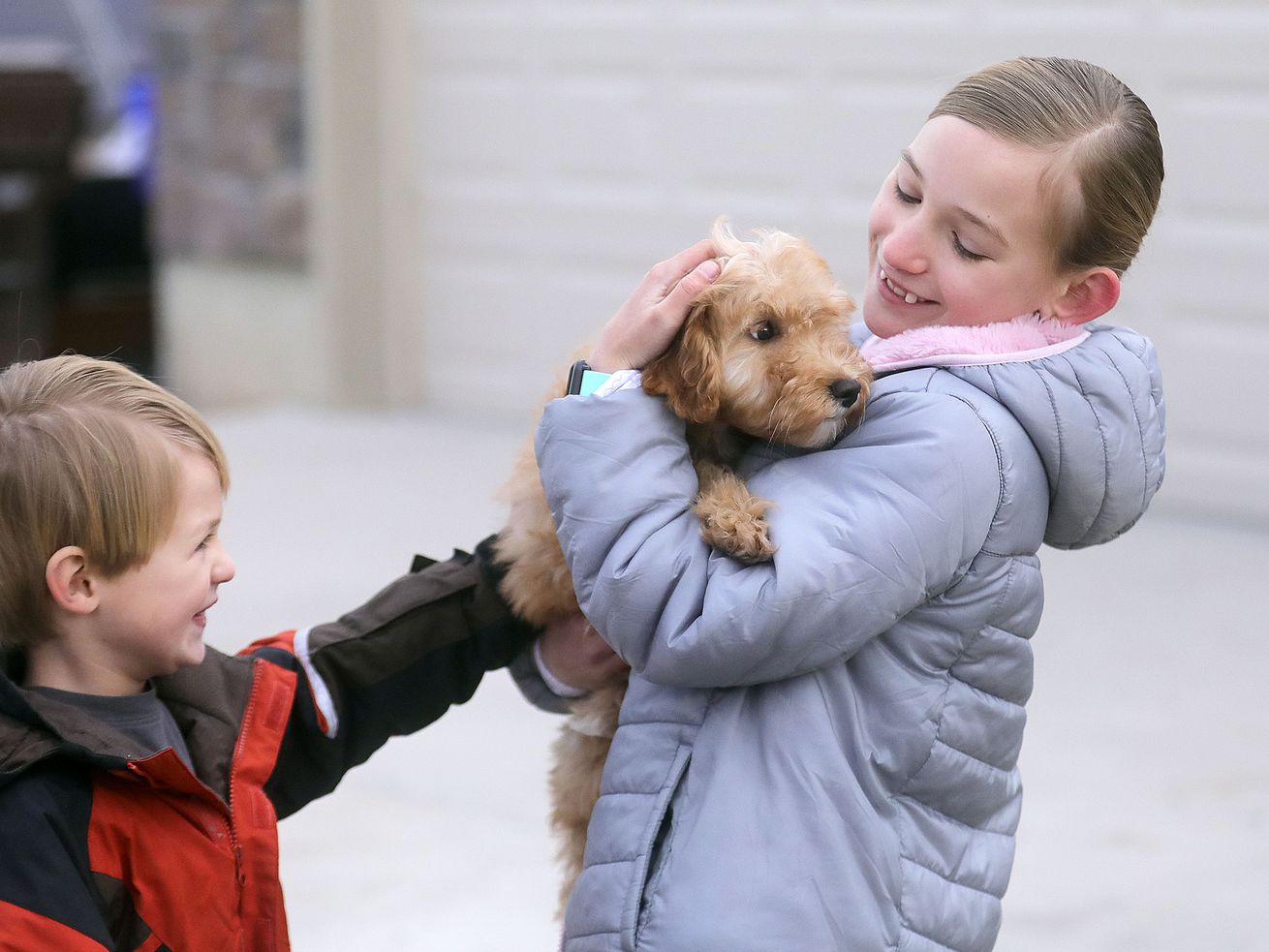 Jenna Bates, right, holds her new puppy Lucy as her
brother Andy pets her outside of Lucy’s breeder’s home in Eagle
Mountain on Thursday, Feb. 4, 2021. Jenna Bates, 9, gave up sugar
for a year to get the puppy.