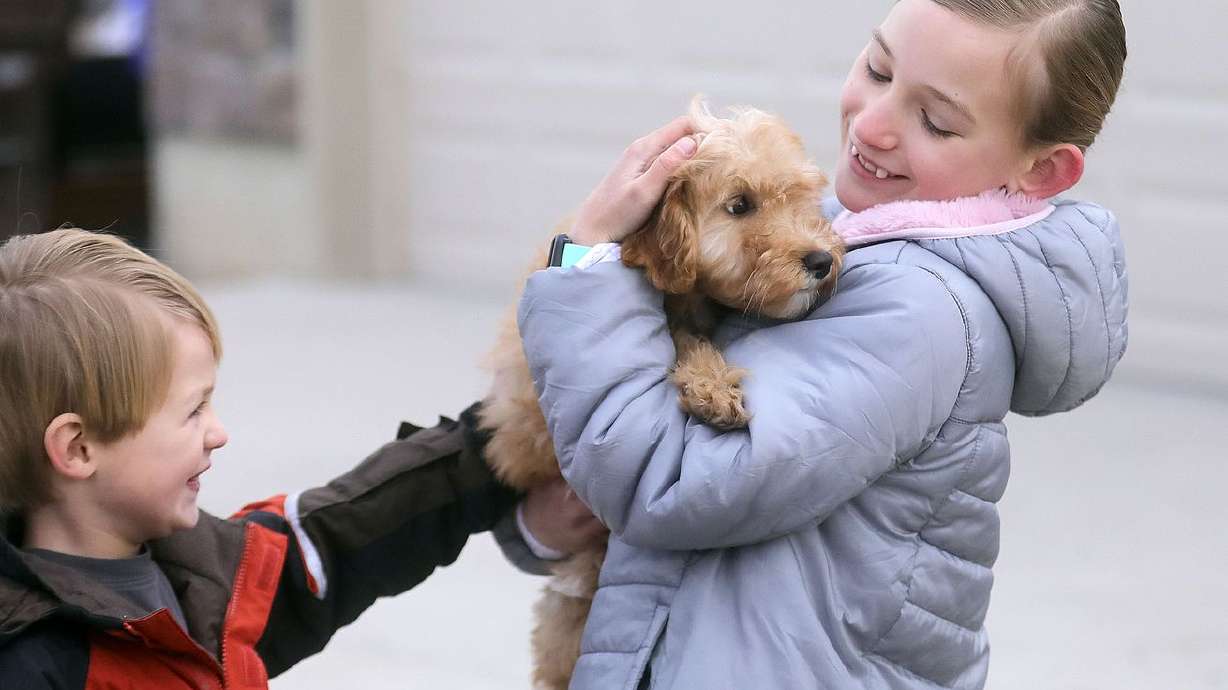 Jenna Bates, right, holds her new puppy Lucy as her
brother Andy pets her outside of Lucy’s breeder’s home in Eagle
Mountain on Thursday, Feb. 4, 2021. Jenna Bates, 9, gave up sugar
for a year to get the puppy.