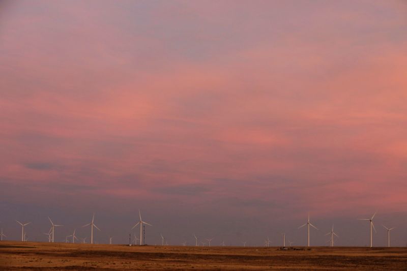 FILE PHOTO: Wind turbines stand above the plains north of Amarillo, Texas, U.S., March 14, 2017. REUTERS/Lucas Jackson