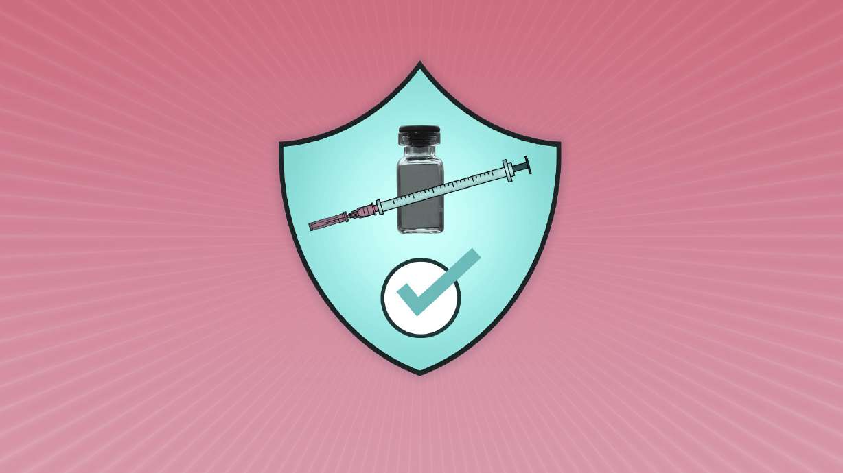 How do we know the COVID-19 vaccines are safe?