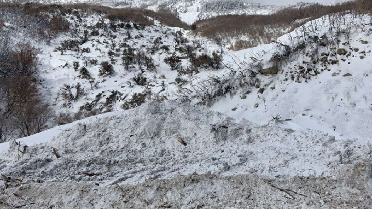 UDOT employees survive avalanche in Little Cottonwood Canyon