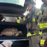 Salt Lake fire displaces 4 — plus snakes, lizards, tortoises, cats, dogs and a parrot