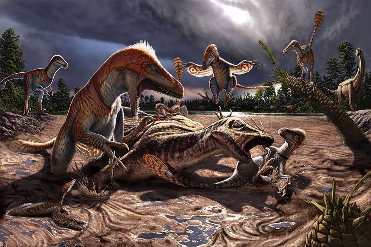 A reconstruction of the Stikes dinosaur death trap. Adult and juvenile Utahraptor dinosaurs attack an iguanodont dinosaur trapped in quicksand.