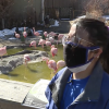 Study: Birdwatching can lift us to happiness during pandemic