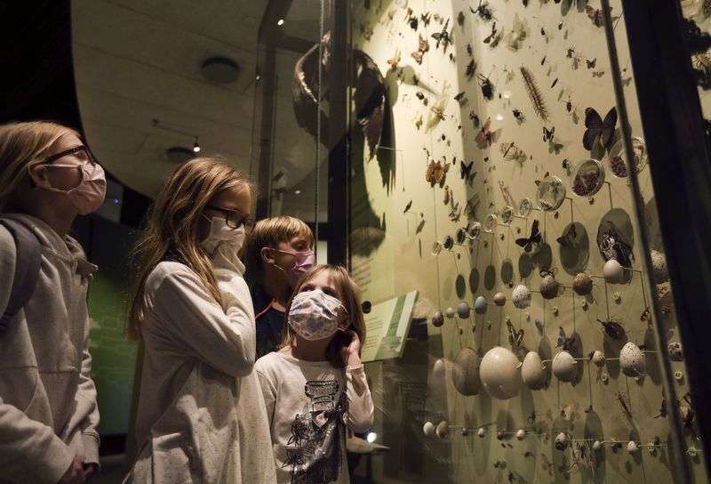 The Richards and Drollinger cousins tour the Natural
History Museum of Utah in Salt Lake City on Friday, Feb. 19,
2021.