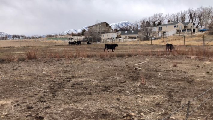 Brian Johnson says the ongoing drought has hit him in the pocketbook.