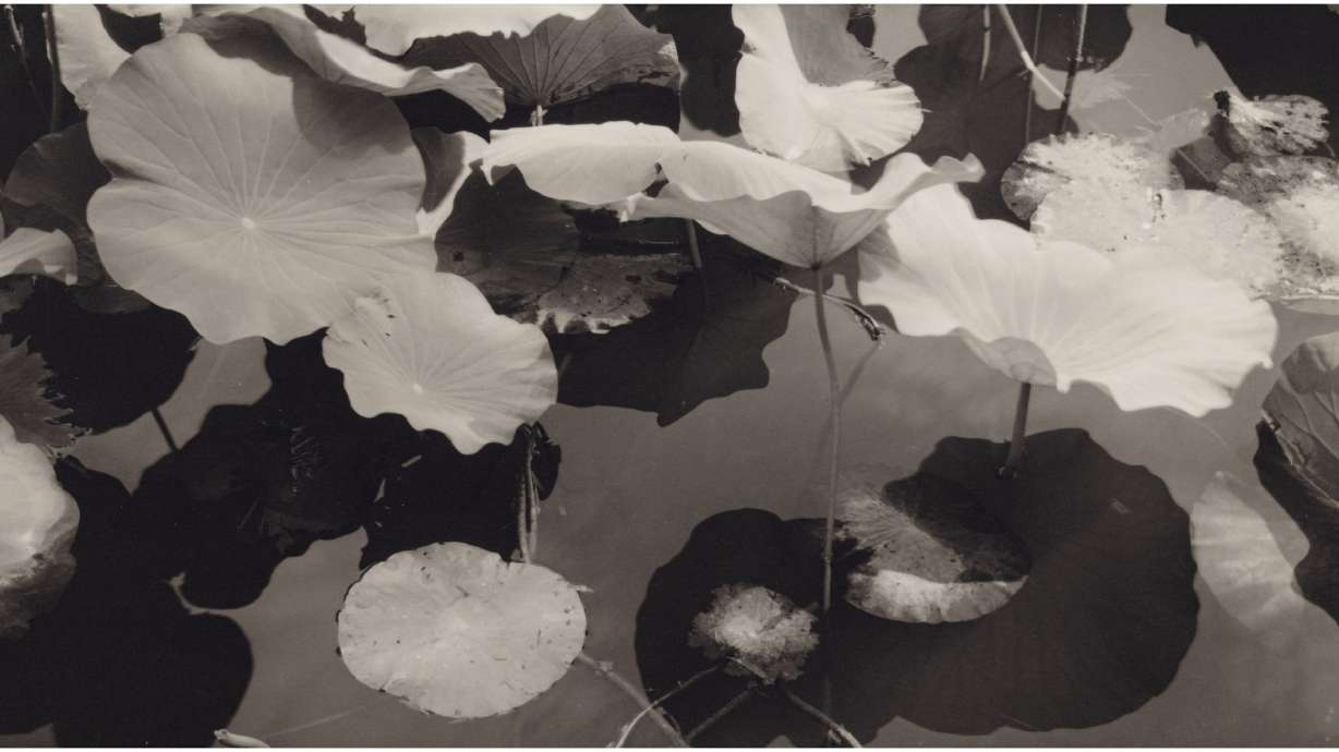 New Orleans Museum of Art announces 3 big gifts in 1 month