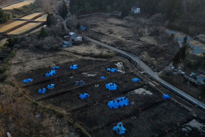 An aerial view shows Sakae Kato's house standing close to a field which is being decontaminated in a restricted zone in Namie, Fukushima Prefecture, Japan, February 21, 2021. Kato looks after 41 cats in his home and another empty building on his property. A decade ago, Kato stayed behind to rescue cats abandoned by neighbours who fled the radiation clouds belching from the nearby Fukushima nuclear plant. He won't leave. "I don't want to leave, I like living in these mountains," Kato said. REUTERS/Kim Kyung-Hoon     Picture taken with a drone.
