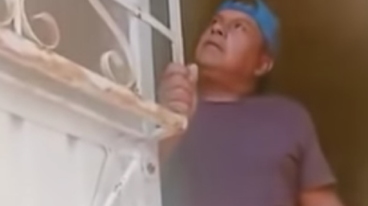 Have You Seen This? Rusty gate creates greatest cover song of all time