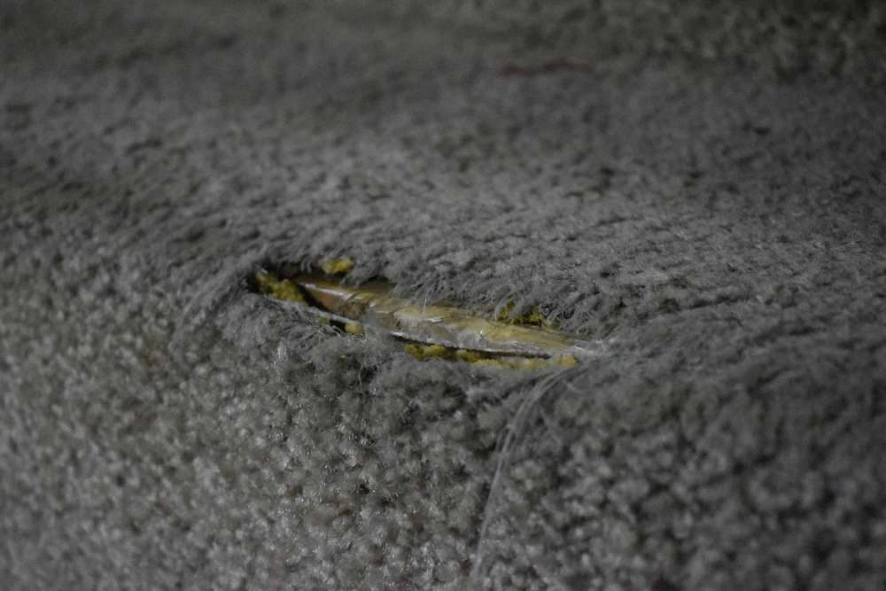 6 signs it's absolutely time to replace your carpet