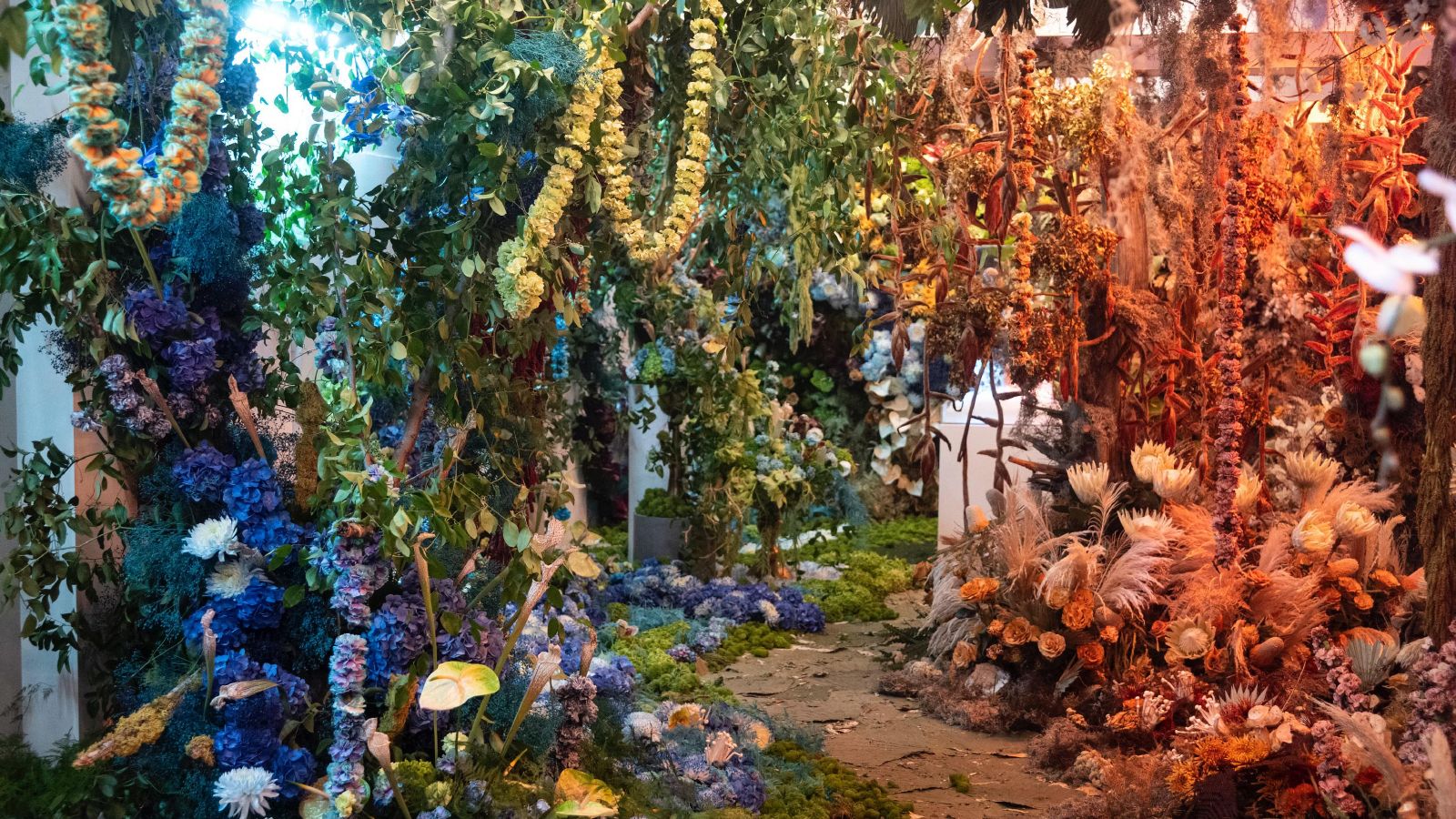 Local Florist Wins 100k In Hbo Series Full Bloom Turns Tragedy Into Art Ksl Com Local Florist Wins 100k In Hbo Series Full Bloom Turns Tragedy Into Art Ksl Com