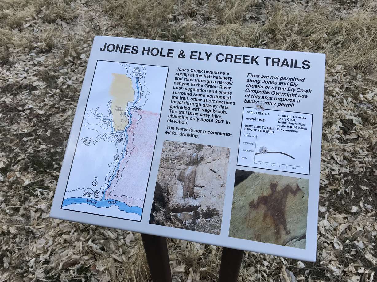 An undated photo of a map of trails at Jones Hole and Ely Creek in the area of Jones Hole Creek in Uintah County.