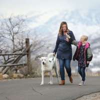 Tech council dives into 'first female recession' and its impact on women workers