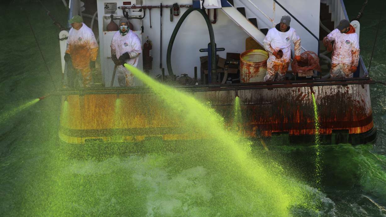 Chicago River dyed green in surprise move by city's mayor