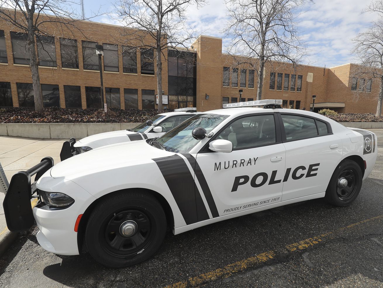 A pedestrian was hit by a vehicle and killed Wednesday night while trying to cross the street in Murray, police said.