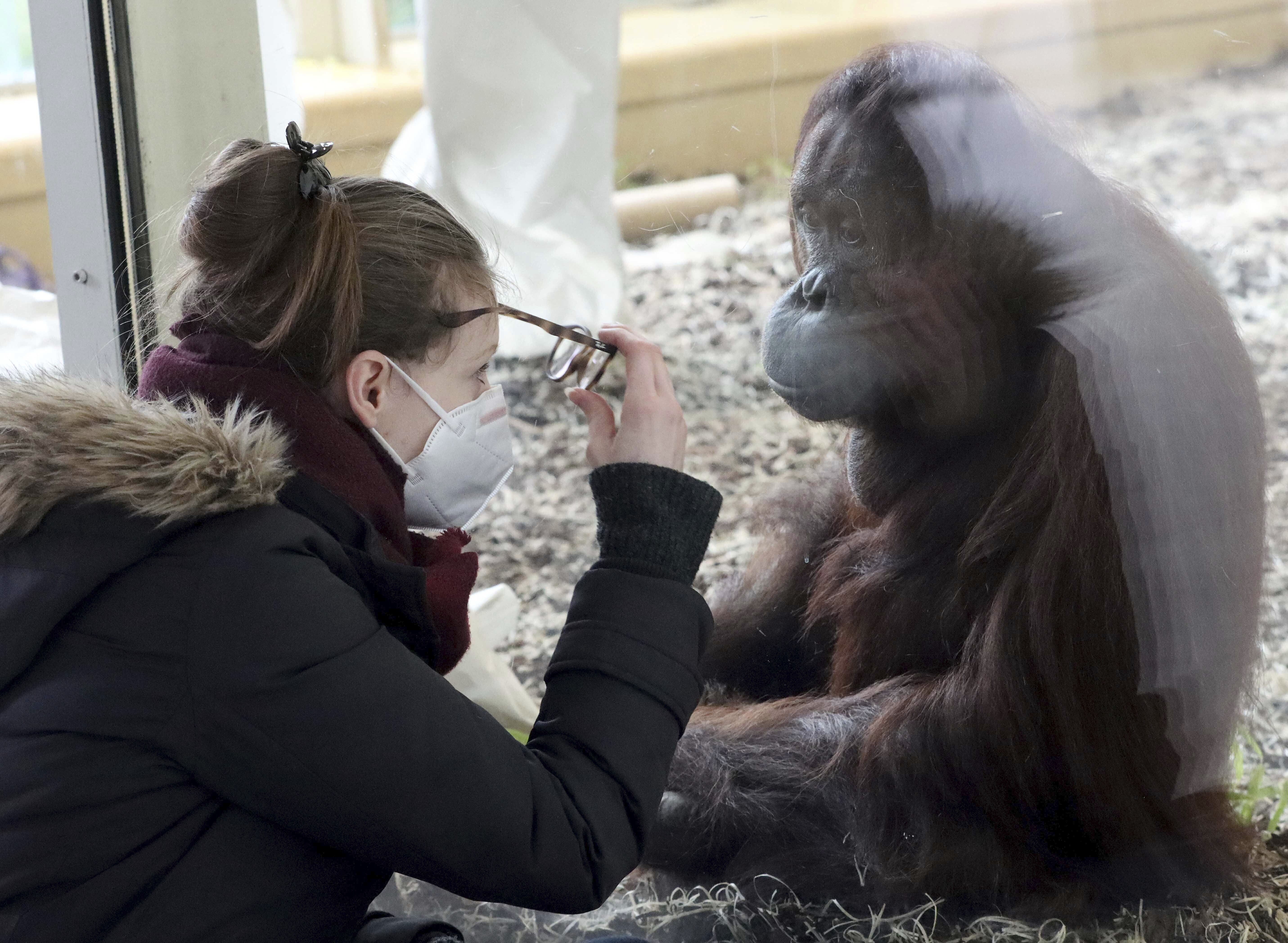 Zoos, scientists aim to curb people giving virus to animals