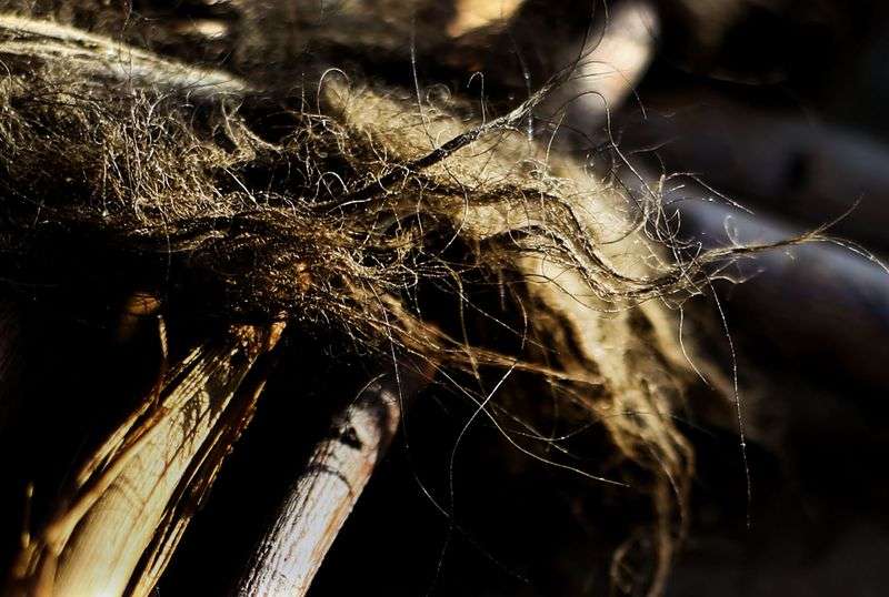 A bull boat — made of buffalo hide, hair and willow
branches — is pictured at Fort Buenaventura in Ogden on Wednesday,
March 17, 2021. Larry Price and longtime friend Mark Balliett are
planning to float down the Bear River from Cutler Dam to as close
they can get to the Great Salt Lake in late May to commemorate Jim
Bridger’s 1825 trip.