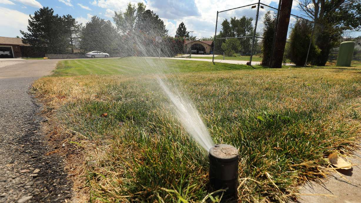 A lawn is watered in the middle of the day in Riverton on Wednesday, July 25, 2018. Riverton City is asking residents and businesses alike to cut their culinary and secondary water use by 25% due to drought.