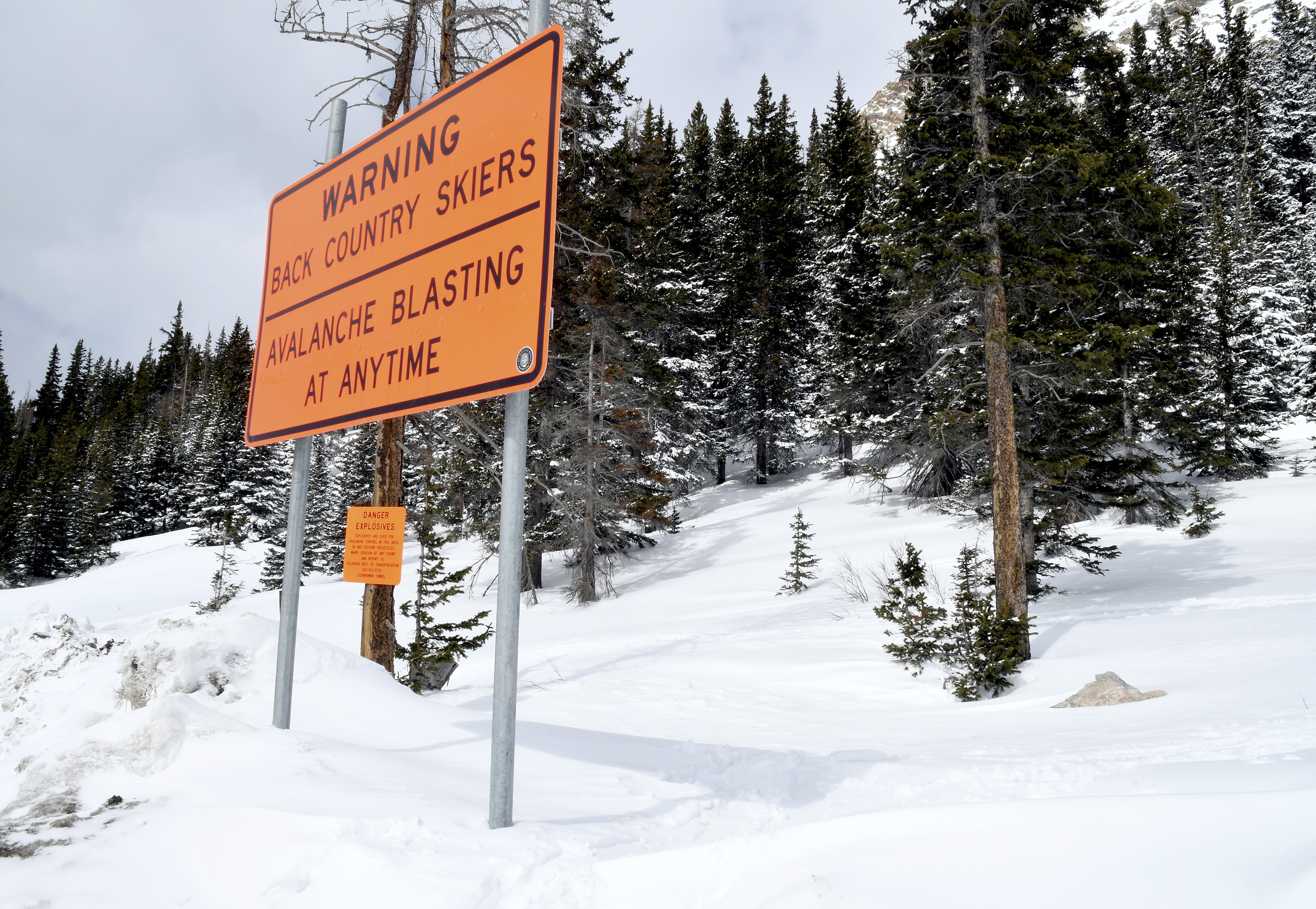 Snowboarders escaped monster avalanche, but not the law