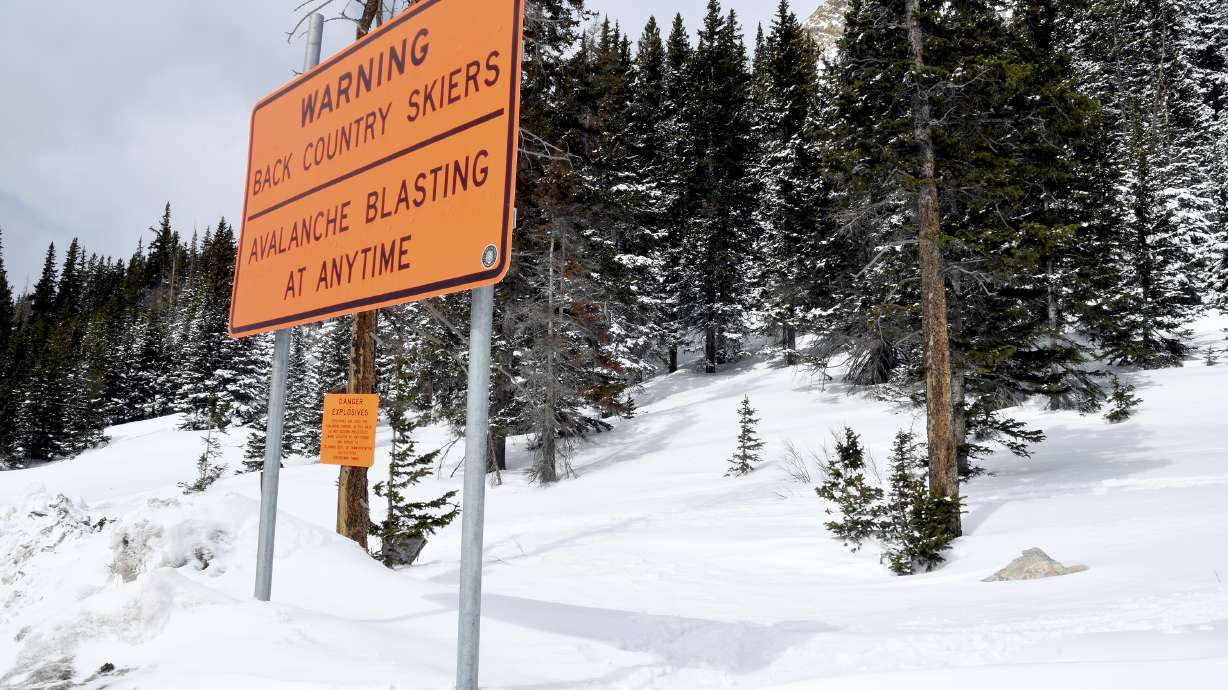 Snowboarders escaped monster avalanche, but not the law