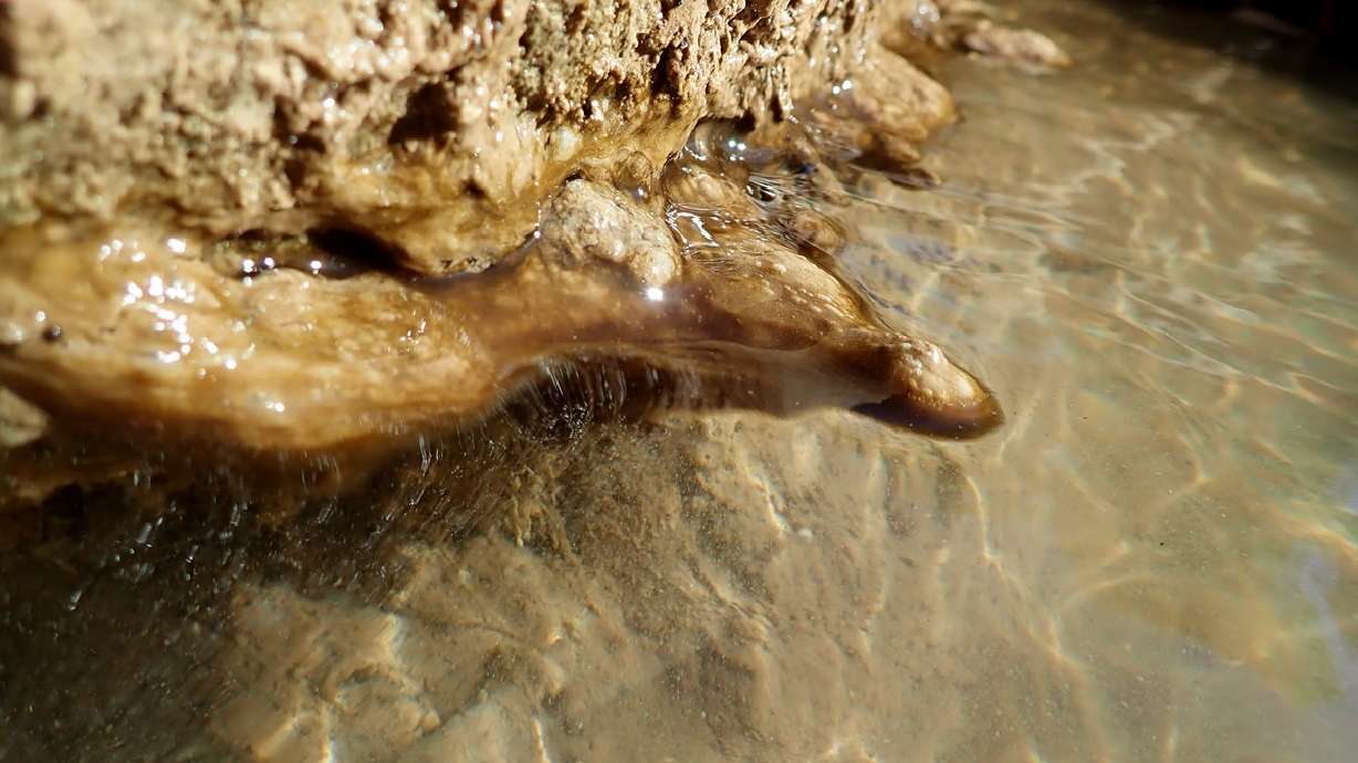 An undated photo of cyanobacteria that formed in the Virgin River with shelves at the waterline including bulbous growths.