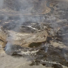 Large Duchesne County fire could be beginning of difficult fire season