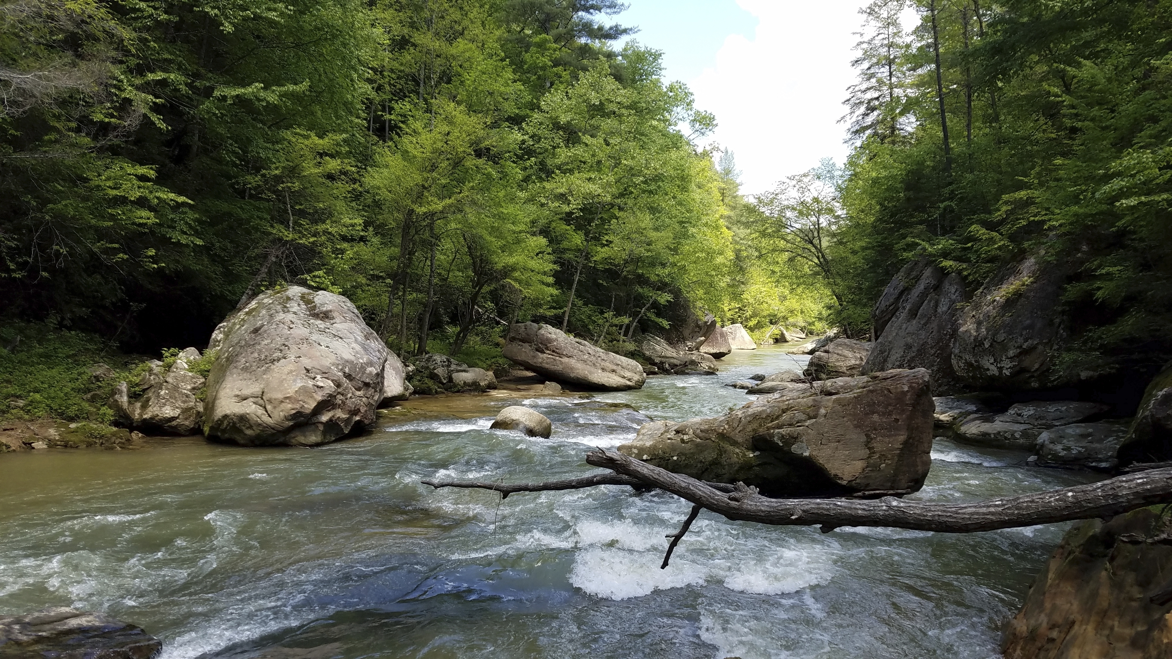 Land sold for resort planned near Kentucky's Red River Gorge