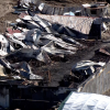 Idaho Falls family reeling after devastating barn fire kills 200 prized show pigs, 6 lambs