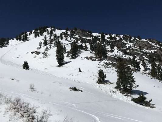 Avalanche forecaster Mark Staples said warmer temperatures could cause sheets of snow to come loose.