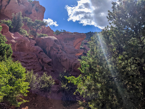 Thor’s Hideout Trail in Thunderbird Gardens