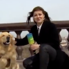 Have You Seen This? Dog steals mic and runs away during live Russian broadcast