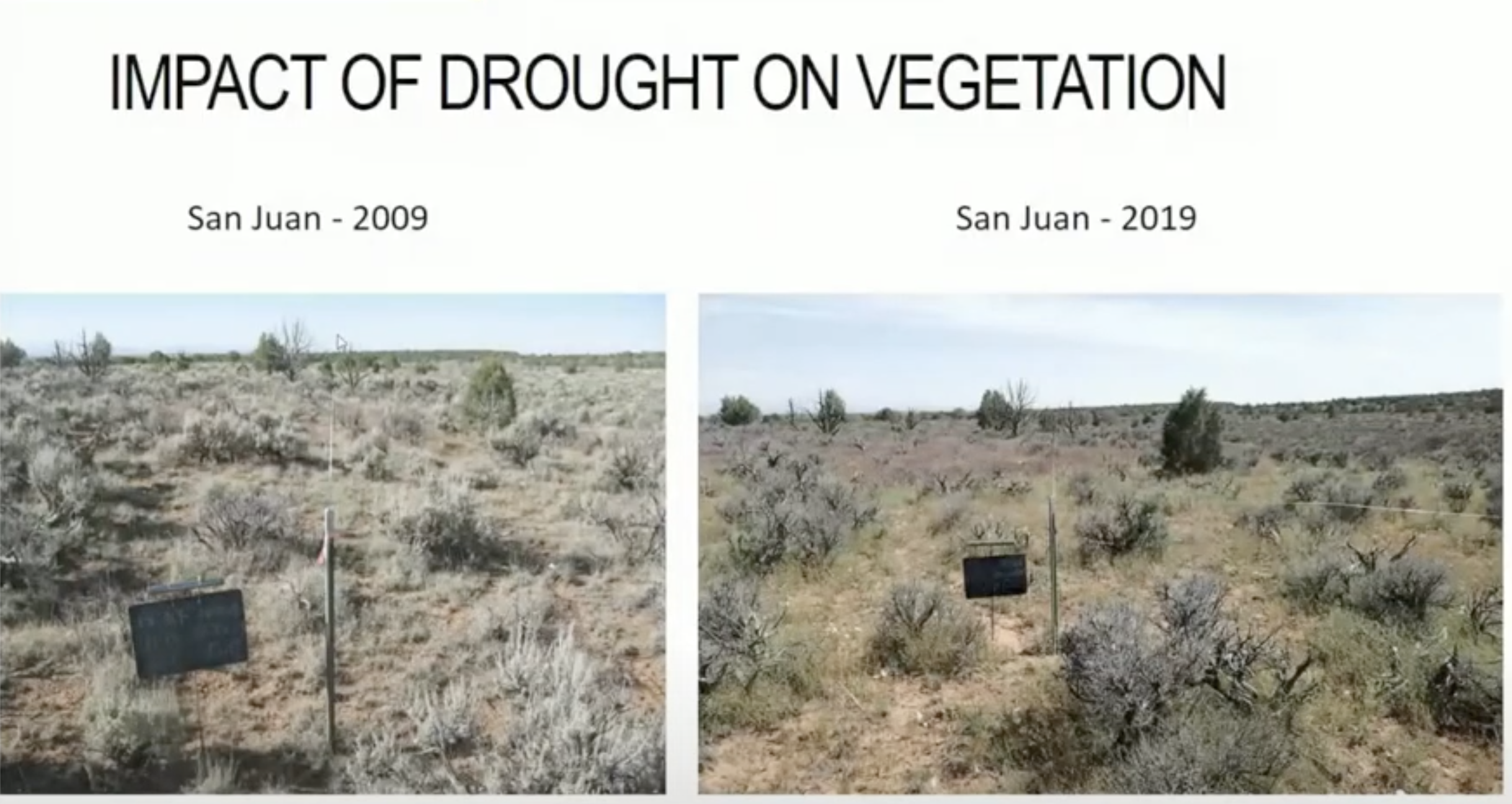 Images of vegetation within a location in San Juan County in 2009 compared to 2019. Drought conditions led to fewer sagebrush for deer.