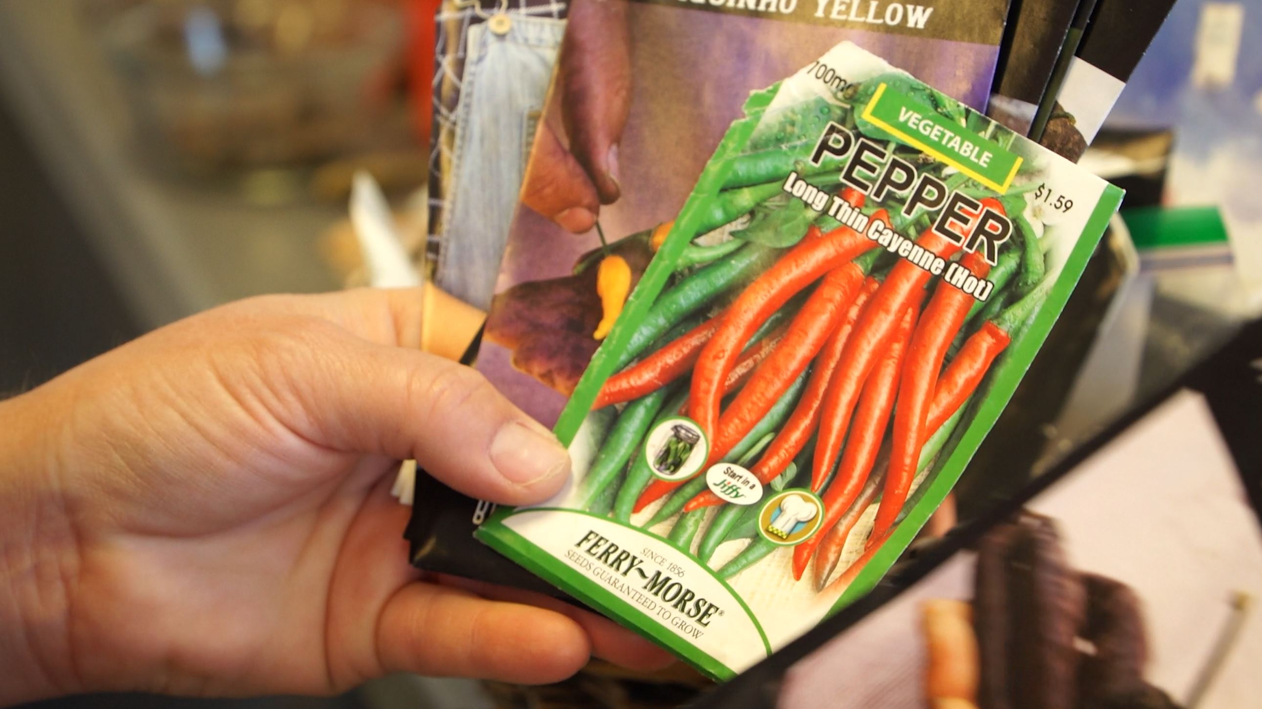 Jana Francis enjoys planting crops she can’t find in a grocery store or farmer’s market. She orders a lot of her rare seeds online. Photo Credit: KSL TV