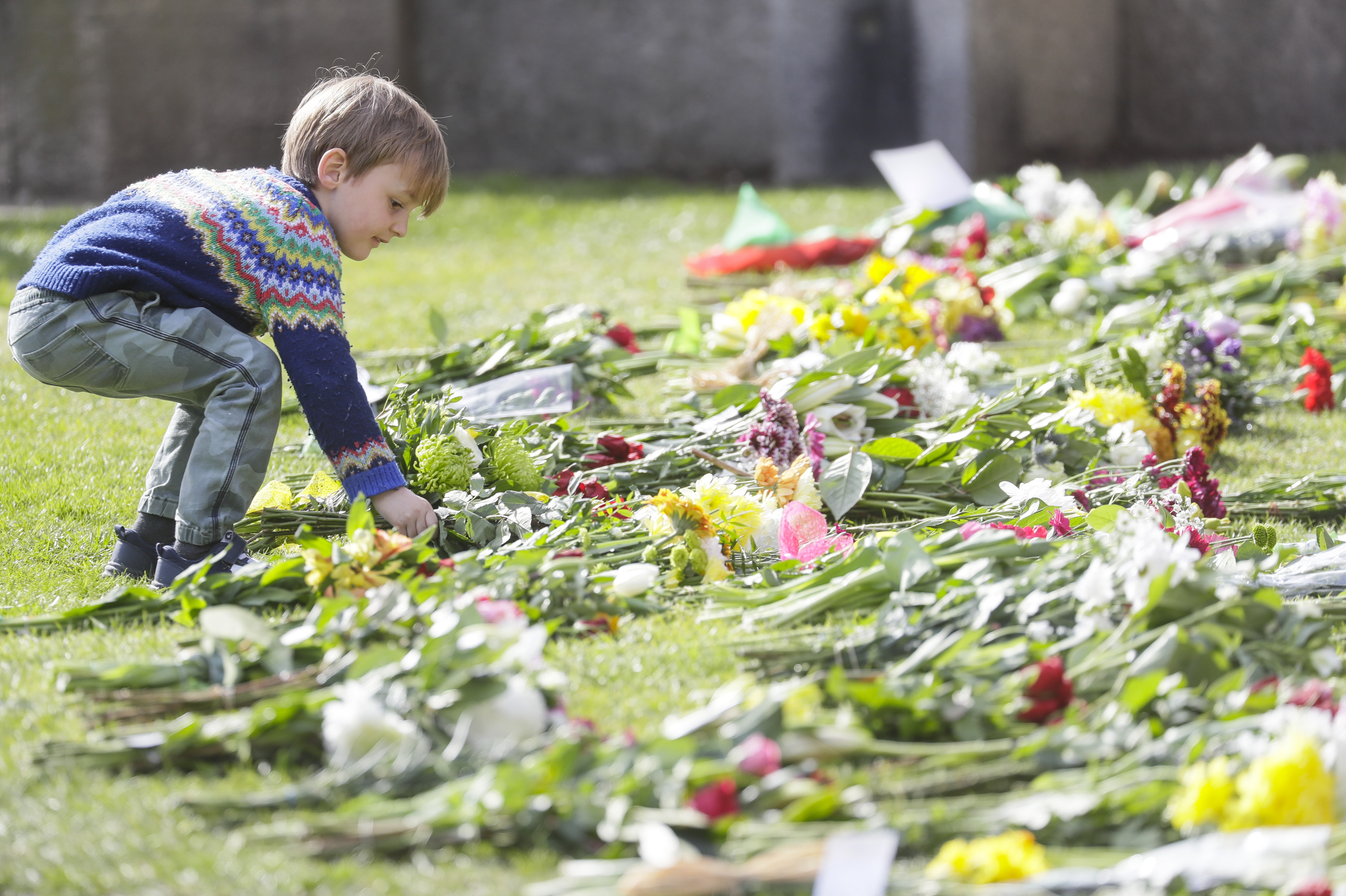 A child lays flowers outside the Cambridge gate of Windsor Castle in Windsor, England after the announcement regarding the death of Britain's Prince Philip, Friday, April 9, 2021.