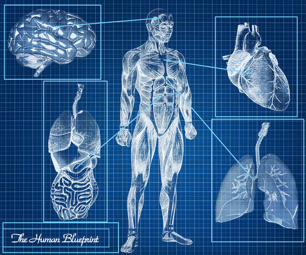 New discoveries reveal the real causes and solutions for ED