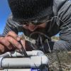 Can a pasta machine protect the seeds to save the West's wildlands?