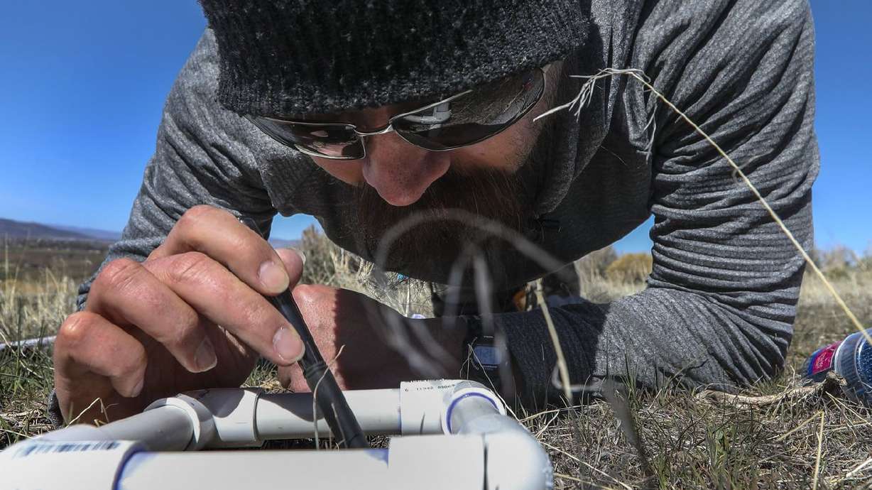 Christopher Donovan, a precision restoration scientists
for The Nature Conservancy, uses a plastic frame to help him assess
how tiny sagebrush plants that were planted last fall are doing at
Coldwater Canyon Wildlife Management Area near Honeyville, Box
Elder County, on Monday, April 12, 2021. The study is testing
herbicide protection seed technologies designed to improve the
restoration of native plant species in the presence of invasive
annual grasses.