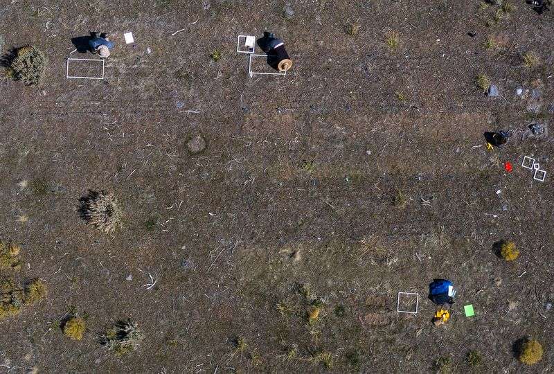 Christopher Donovan, left, and Maggie Eshleman,
precision restoration scientists for The Nature Conservancy, use
plastic frames to help them assess how tiny sagebrush plants that
were planted last fall are doing at Coldwater Canyon Wildlife
Management Area near Honeyville, Box Elder County, on Monday, April
12, 2021. The study is testing herbicide protection seed
technologies designed to improve the restoration of native plant
species in the presence of invasive annual grasses.