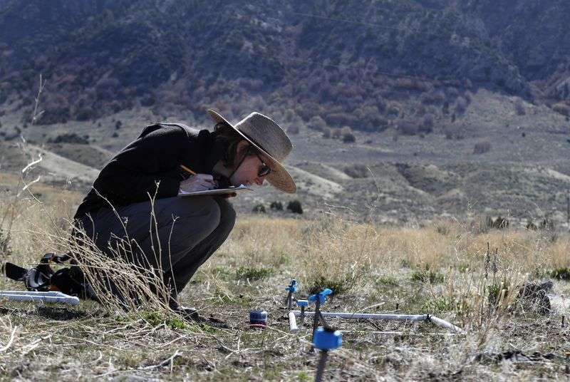 Maggie Eshleman, a precision restoration scientist for
The Nature Conservancy, uses a plastic frame to help her assess how
tiny sagebrush plants that were planted last fall are doing on a
plot of land at Coldwater Canyon Wildlife Management Area near
Honeyville, Box Elder County, on Monday, April 12, 2021. The study
is testing herbicide protection seed technologies designed to
improve the restoration of native plant species in the presence of
invasive annual grasses.
