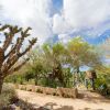 6 things to do in the Las Vegas area with your family