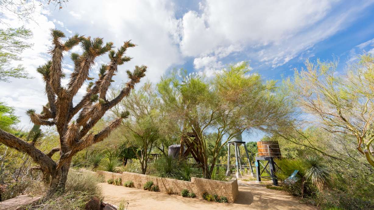 Botanical Garden of Springs Preserve at Las Vegas, Nevada