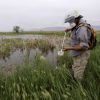 Does spraying pesticides to control mosquitoes near Great Salt Lake do more harm than good?